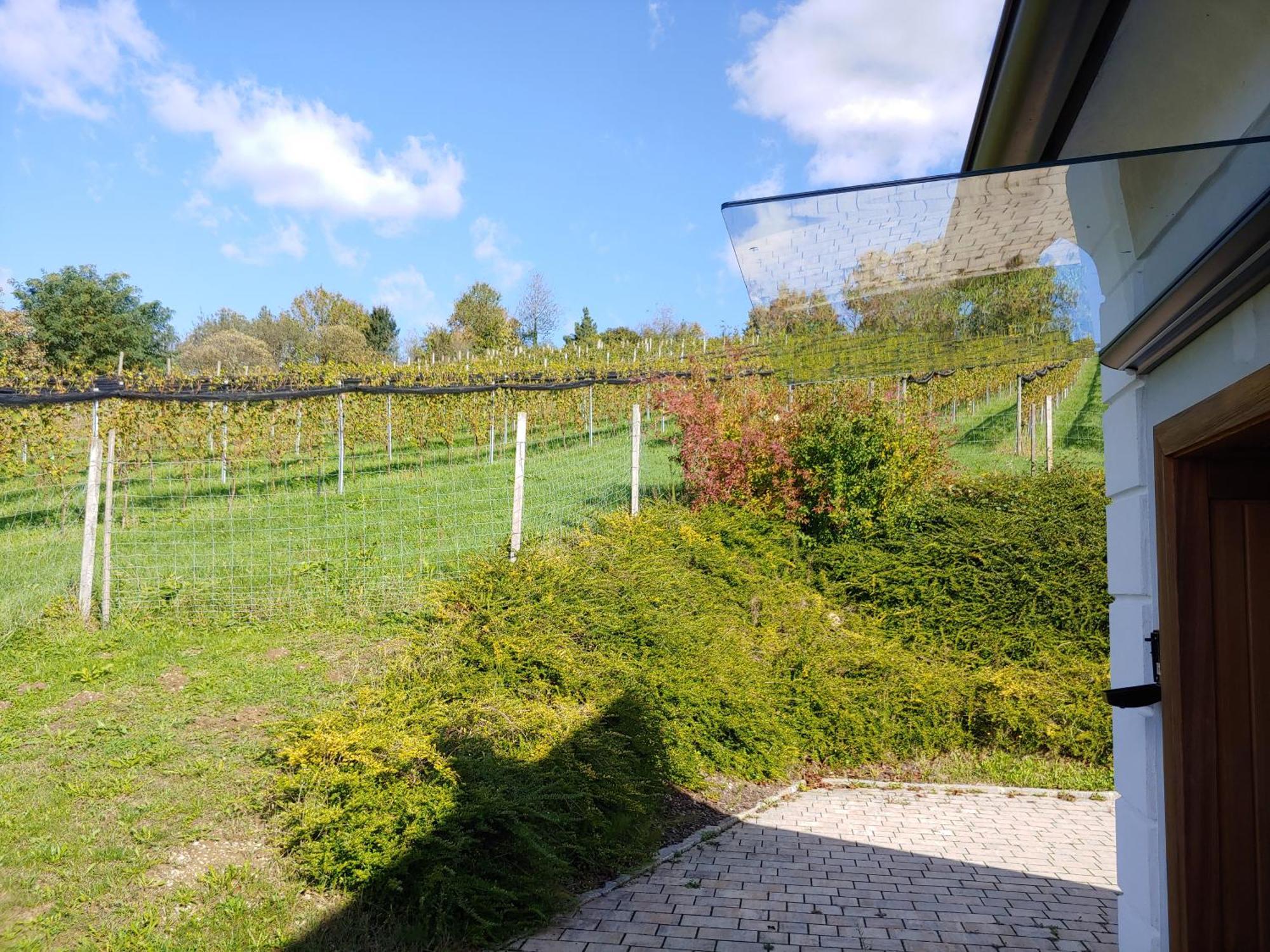 Ferienwohnung kleine Reblaus Bad Waltersdorf Exterior foto